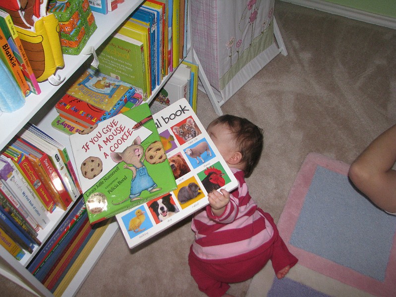 IMG_2244.JPG - Gotta rearrange my bookshelf.