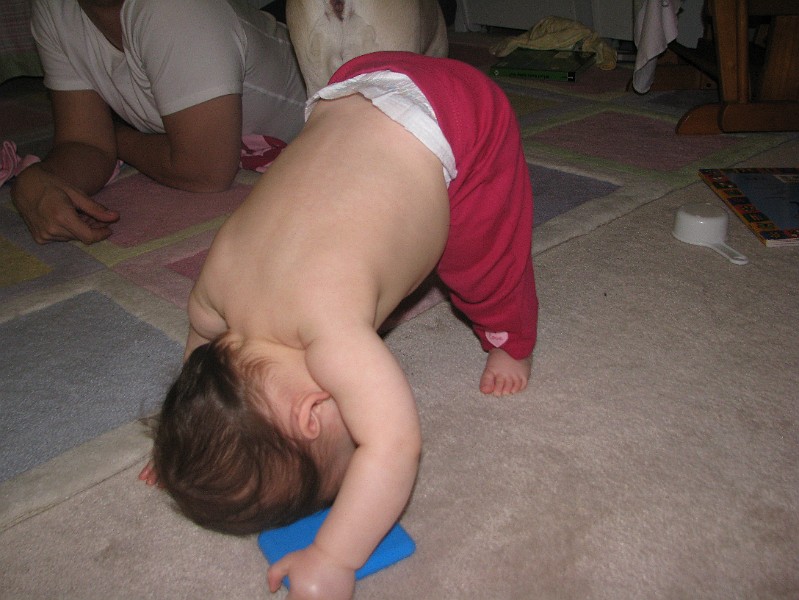 IMG_2259.JPG - Downward dog.