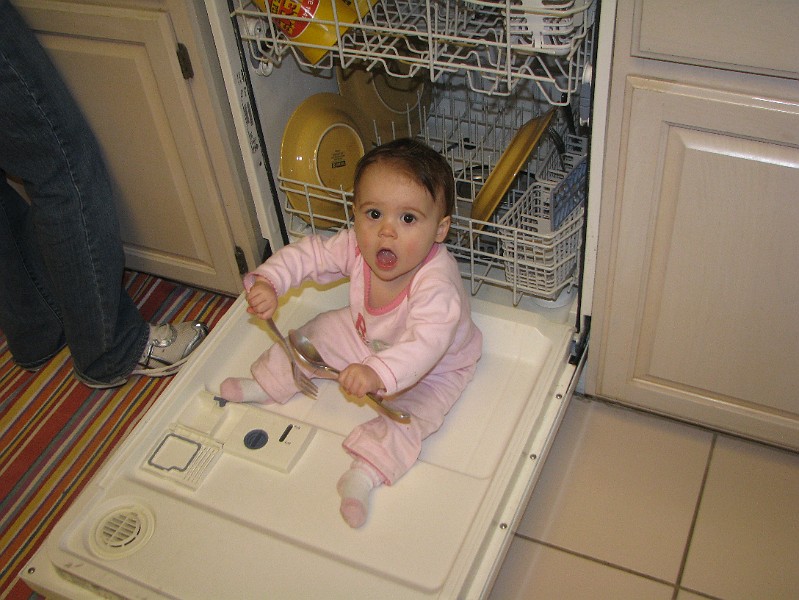 IMG_2557.JPG - Doo peee doo ching cling clang.