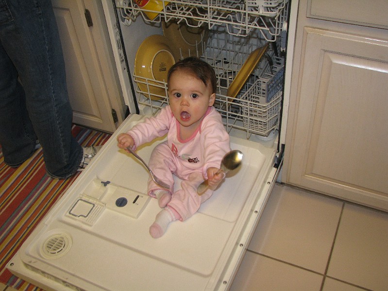 IMG_2558.JPG - Oh, wait. This is a fork.