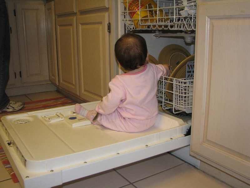 IMG_2561.JPG - I don't want to work. I want to bang on the plates all day.