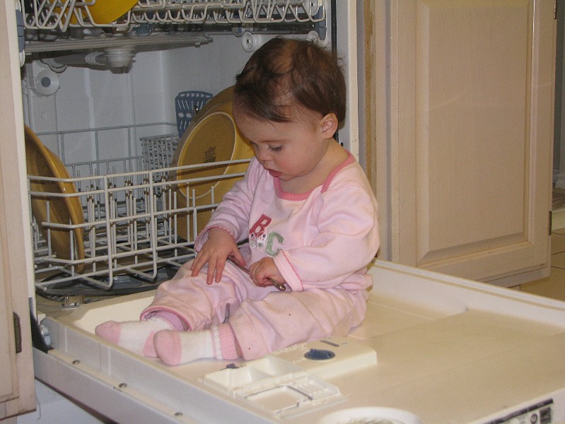 IMG_2563.JPG - Seriously.