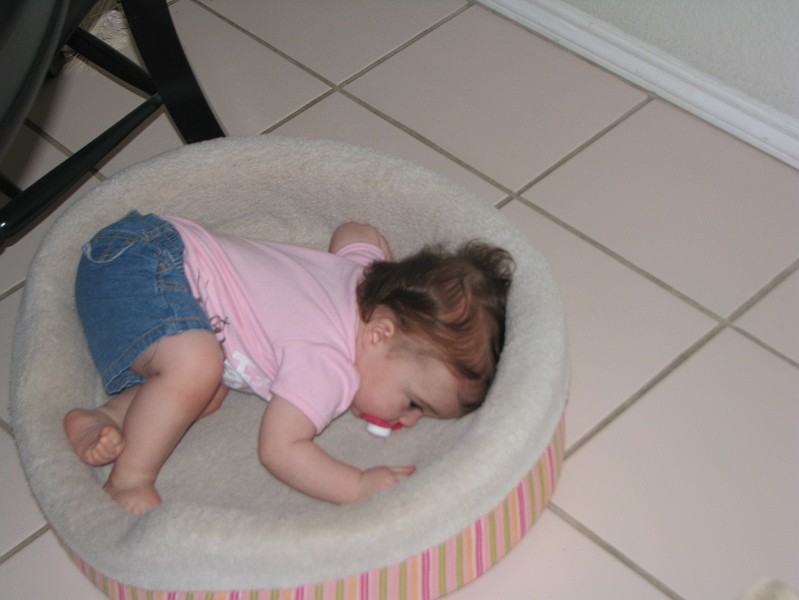 IMG_2581.JPG - If I curl up real tight, I fit just right.