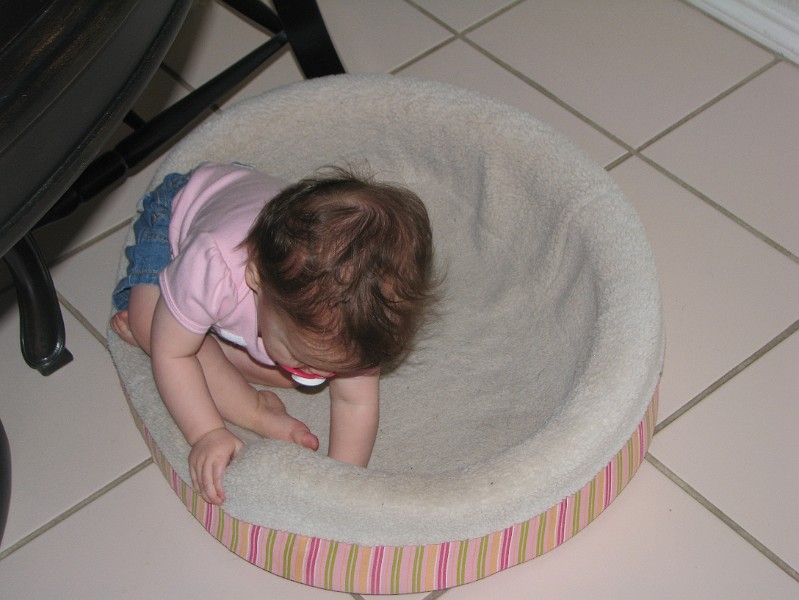 IMG_2583.JPG - Yuck.