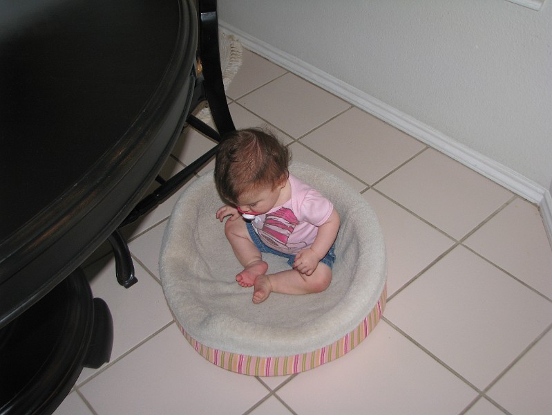 IMG_2584.JPG - Oh well. Tonight's bath night.