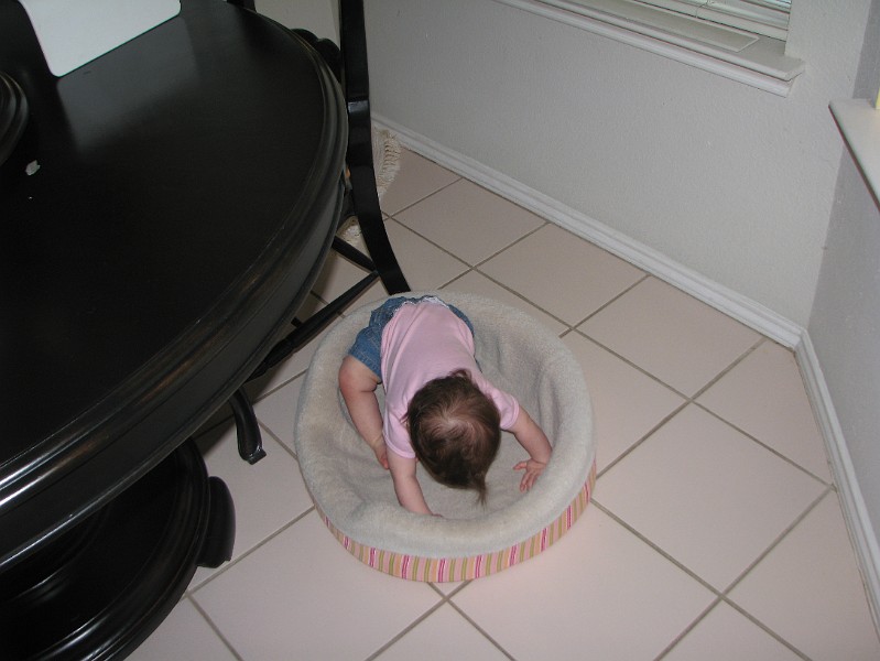 IMG_2585.JPG - If it were just... a... little... bit... bigger...