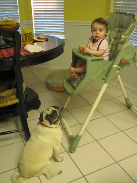 IMG_2586.JPG - Are we in trouble?