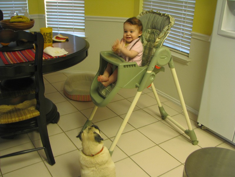 IMG_2590.JPG - Tee hee hee. Teasing Spanky Mae is fun.