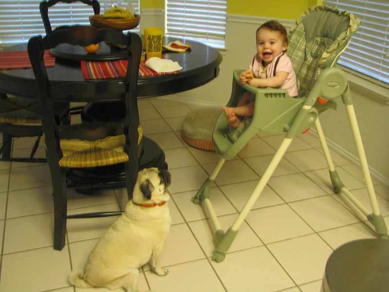 IMG_2592.JPG - Ha! She thinks I'm going to throw some food to her.