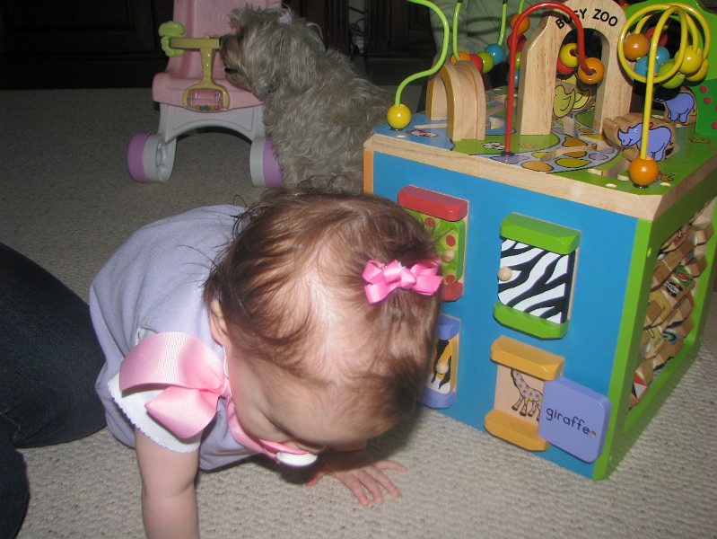 IMG_2626.JPG - I got a pink bow in my hair, too.