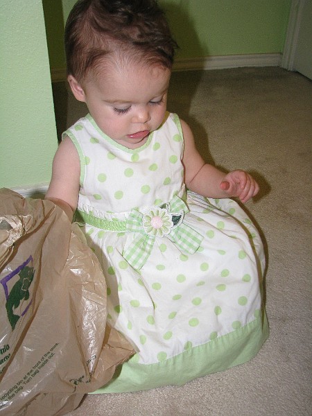 IMG_2768.JPG - And plastic bags. Please don't call CPS on Mommy and Daddy.