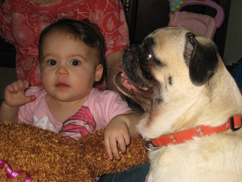 Picture041.jpg - Now I'm all clean after my bath. You should have seen the bathwater.