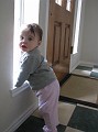 IMG_2568
