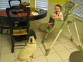 IMG_2592