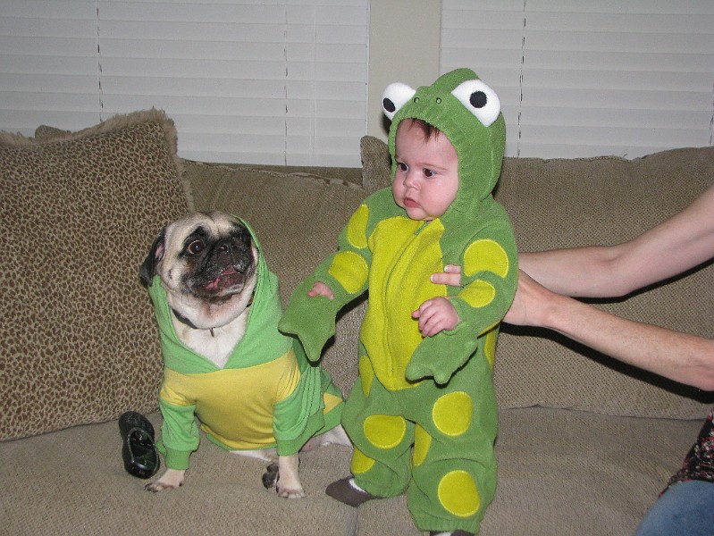 IMG_1824.JPG - Ribbit. Ribbit. Spanky Mae and I compare suits.