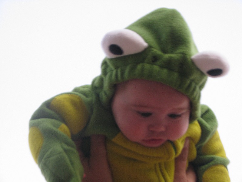IMG_1865.JPG - It's Allie, the flying frog.