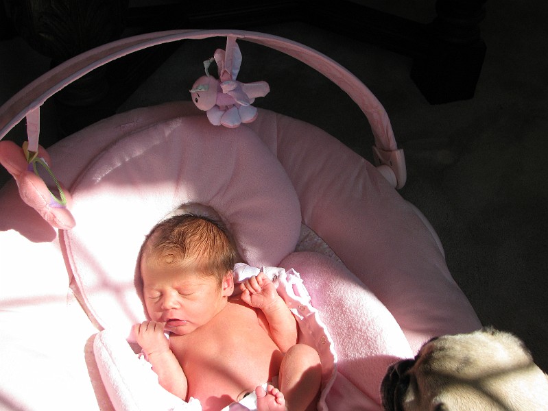 IMG_0630.JPG - Dr. Philip told me I needed a few minutes of direct sunlight each day to help my jaundice go away.