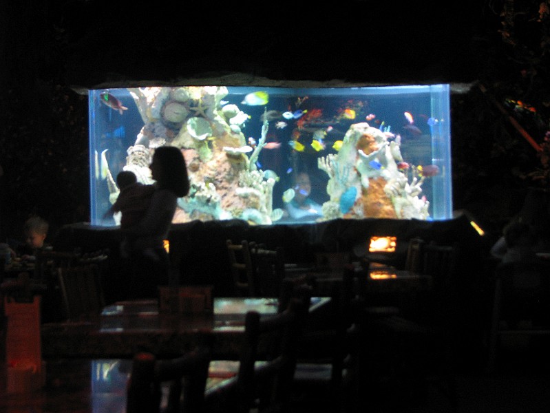 AquariumAtRainforest.jpg - Mommy showed me the fish tank.